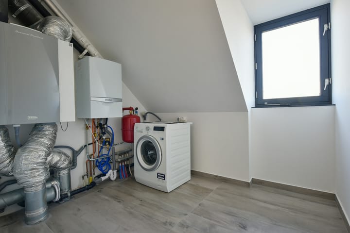 Foto 17 van Bosmuis 8