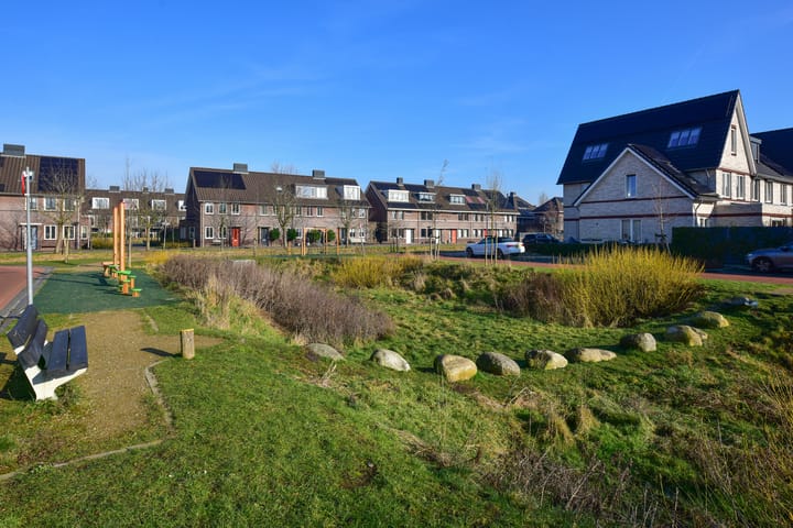 Foto 22 van Bosmuis 8