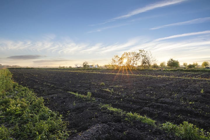 Foto 13 van Demmerik 124-B