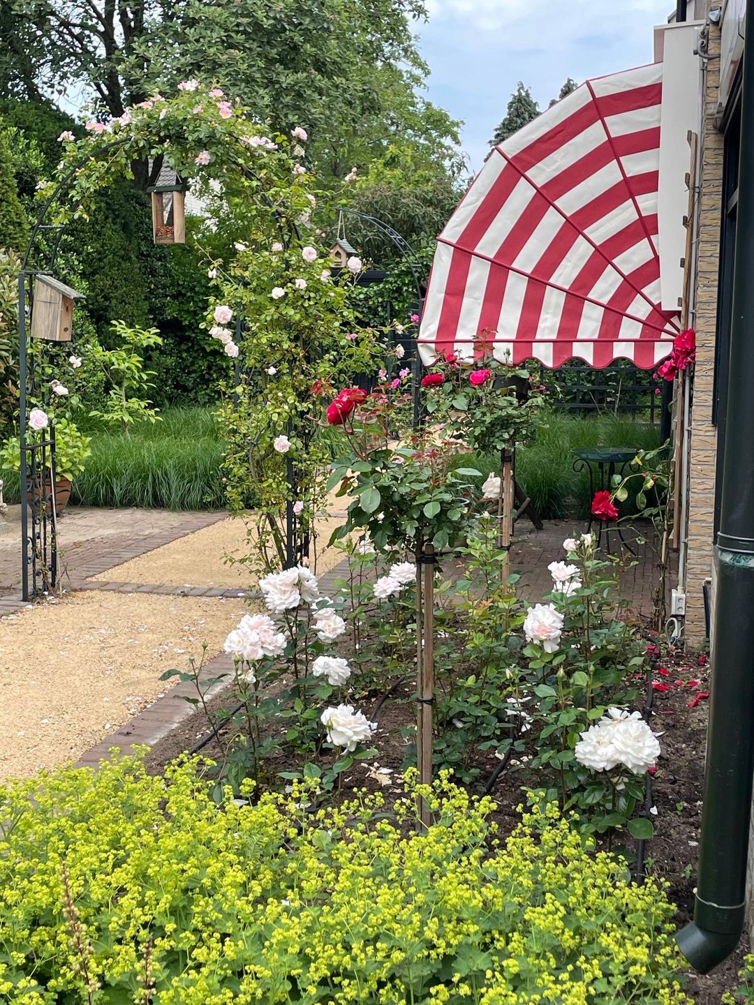 Foto 38 van Zuiderklamp 62