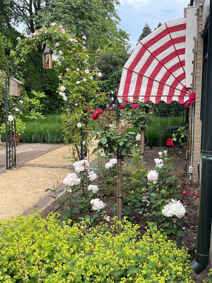 Foto 38 van Zuiderklamp 62