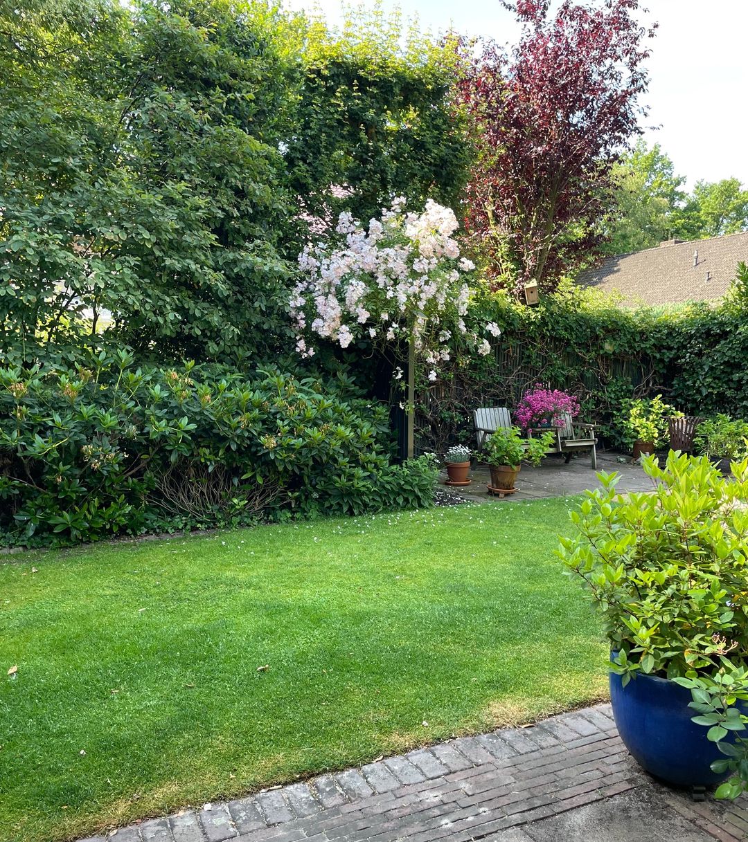 Foto 41 van Zuiderklamp 62