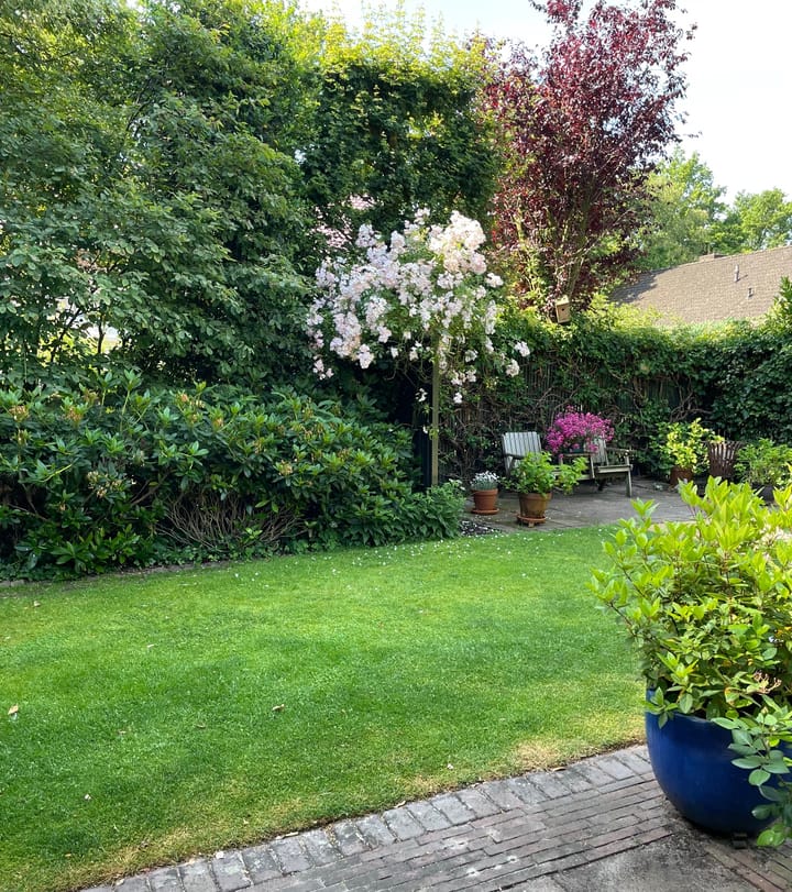 Foto 41 van Zuiderklamp 62