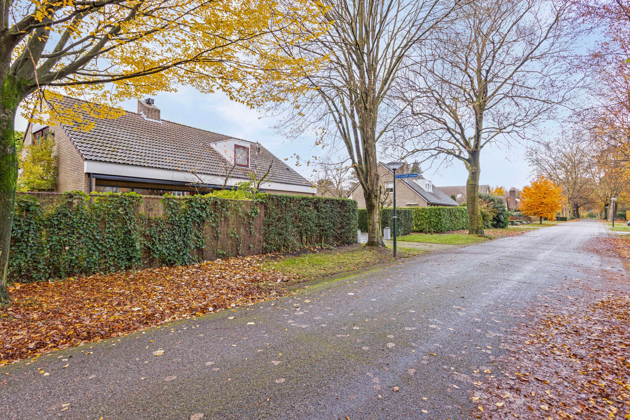 Foto 48 van Zuiderklamp 62