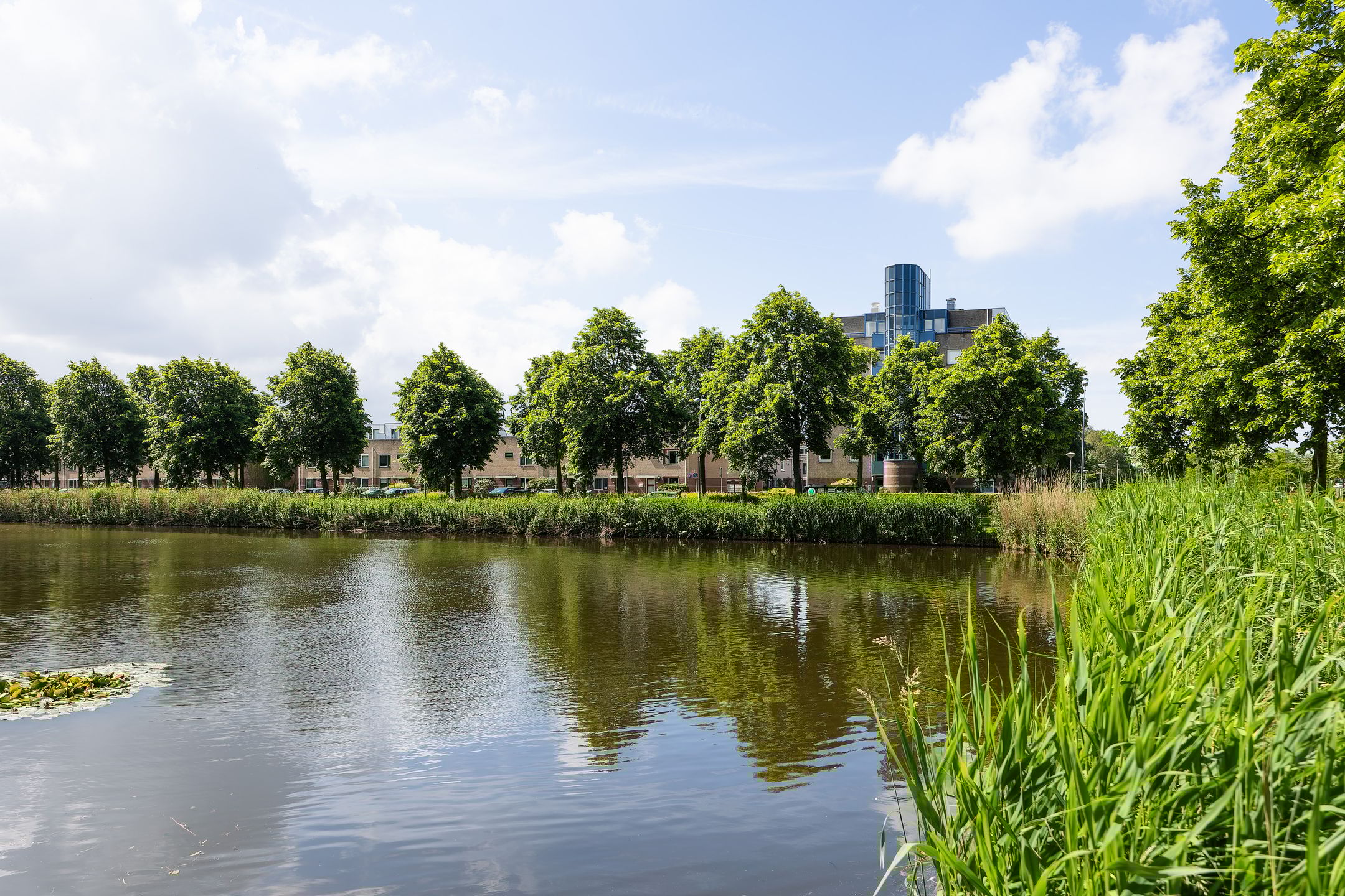 Foto 27 van Ossenland 21