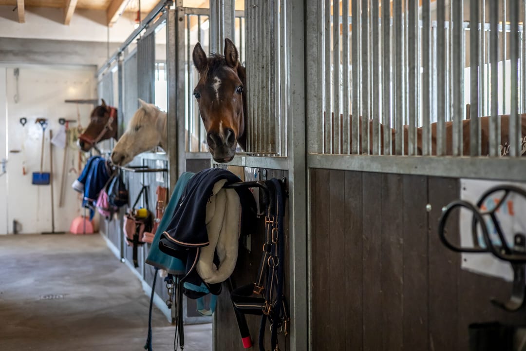 Foto 2 van Lekdijk 24