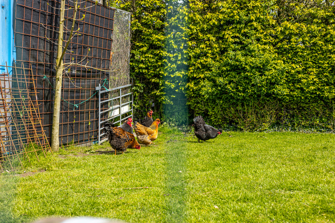 Foto 52 van Lekdijk 24