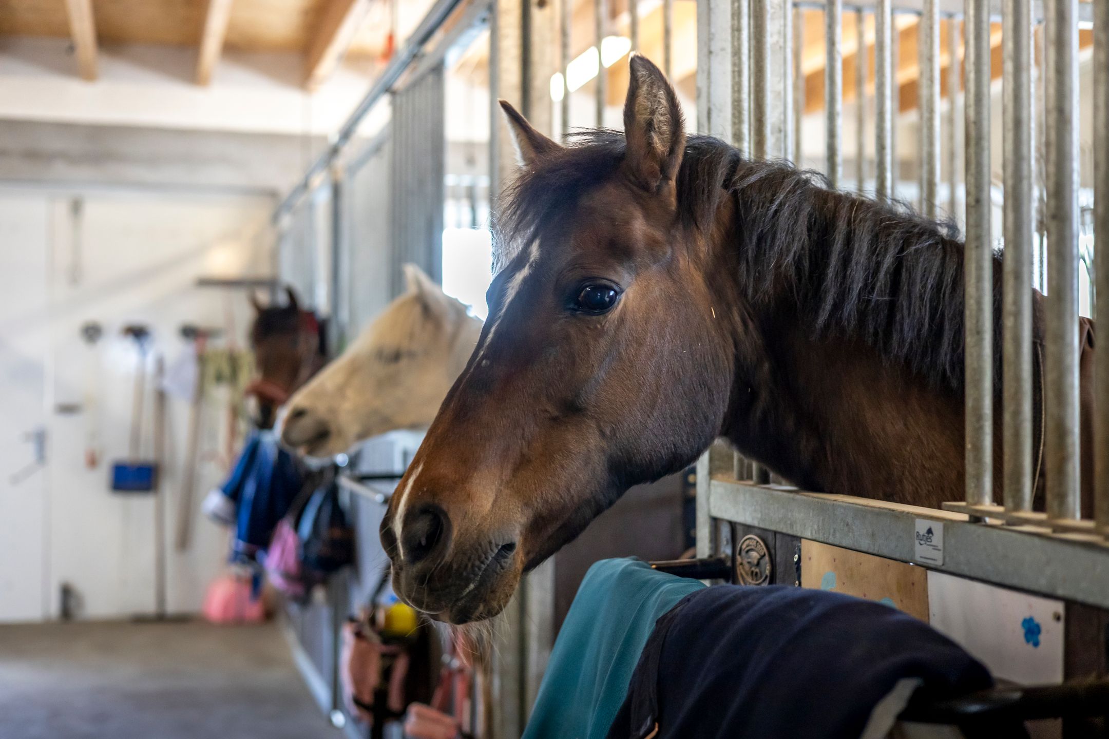 Foto 63 van Lekdijk 24