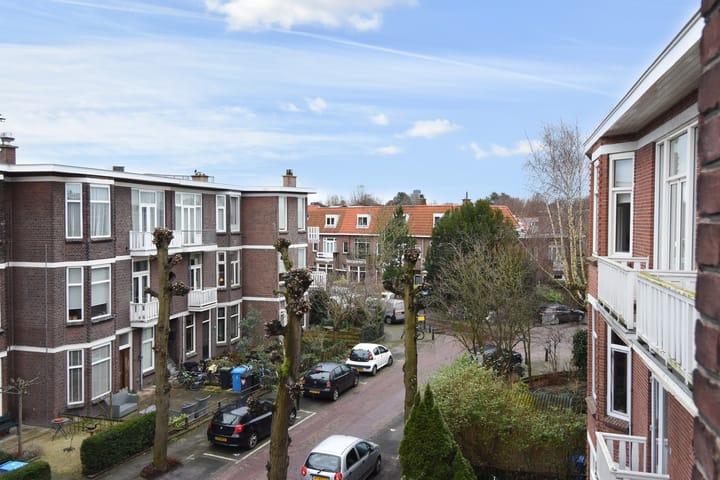 Foto 44 van Ieplaan 20