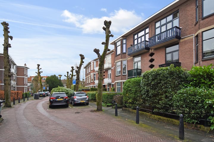 Foto 45 van Ieplaan 20