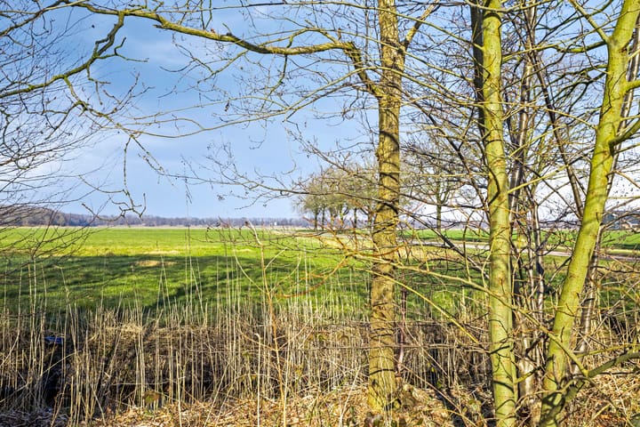 Foto 38 van Van Kinsbergenstraat 14