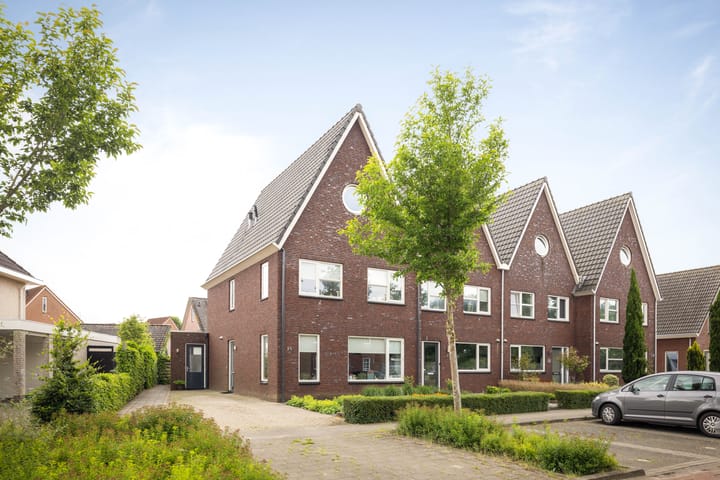 undefined main image