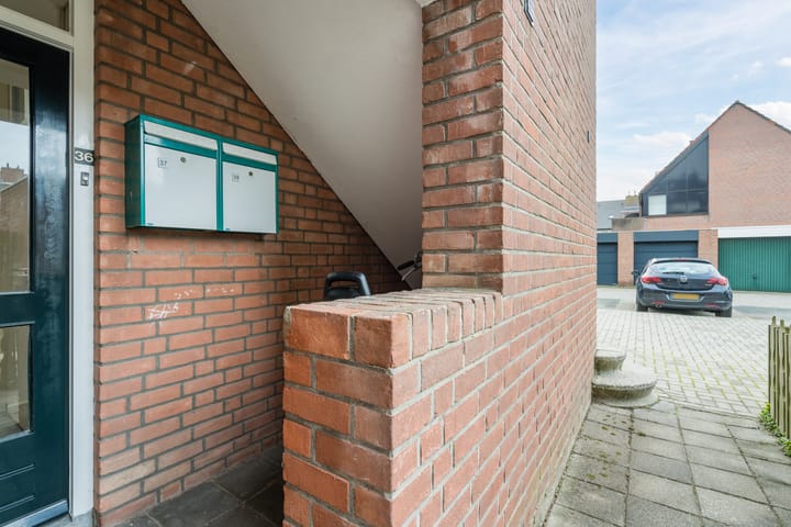 Foto 11 van Pallas 36