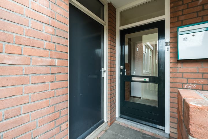 Foto 12 van Pallas 36