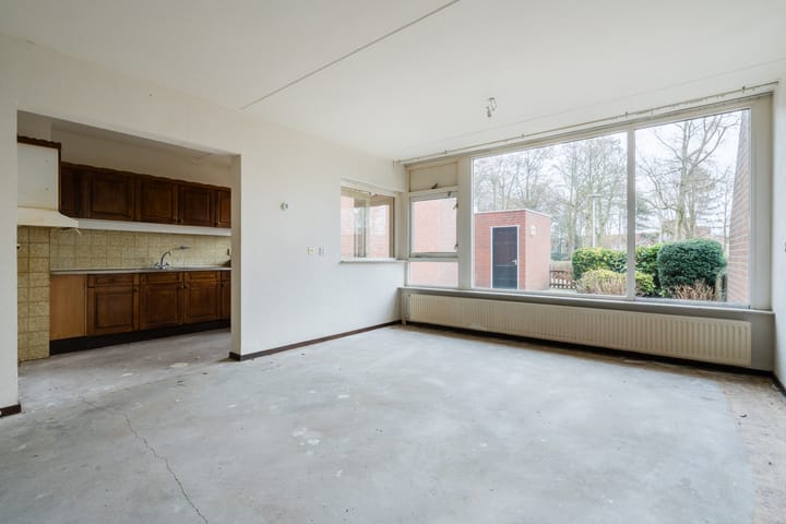 Foto 4 van Pallas 36