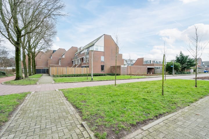 Foto 40 van Pallas 36