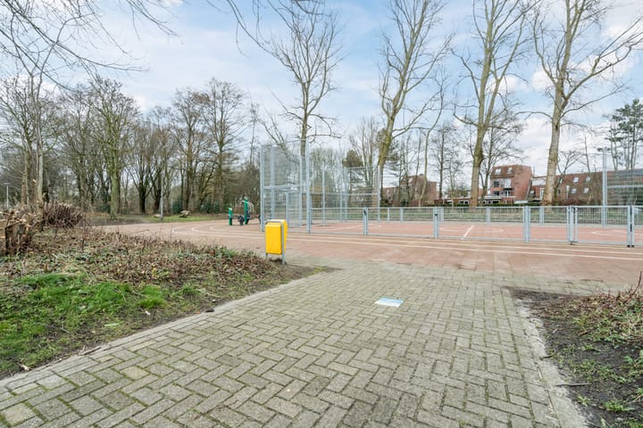 Foto 41 van Pallas 36