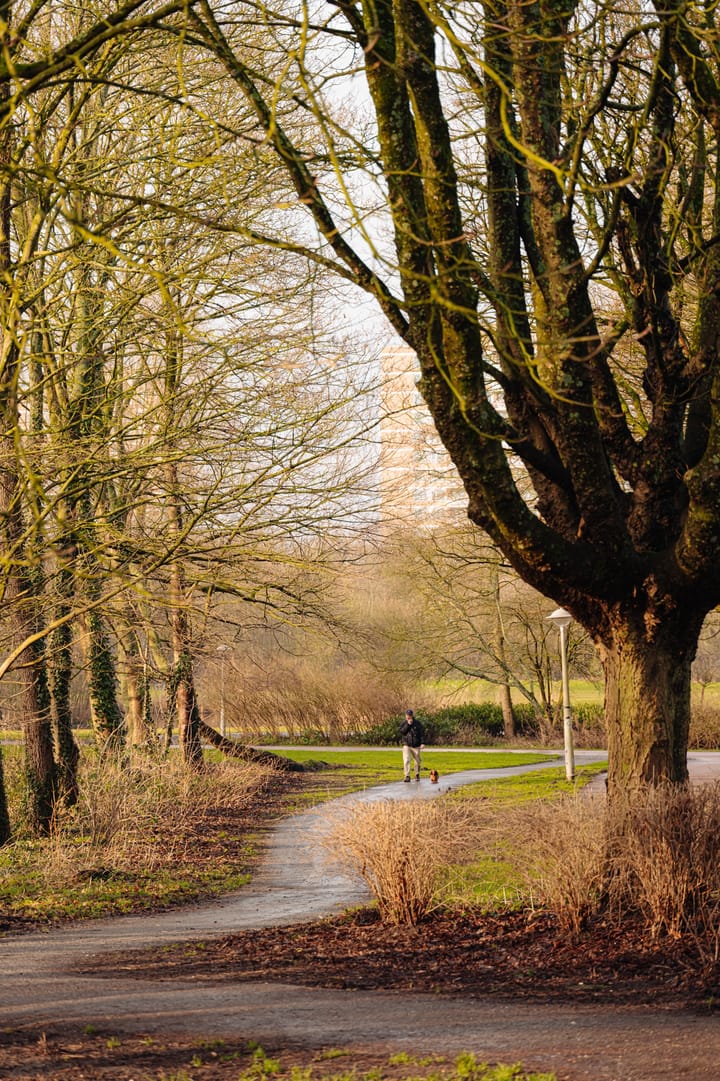 Foto 17 van Orteliuskade 50-2