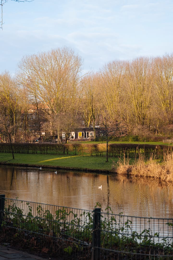 Foto 20 van Orteliuskade 50-2