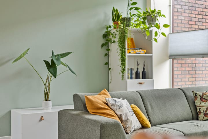 Foto 5 van Boterbloem 8