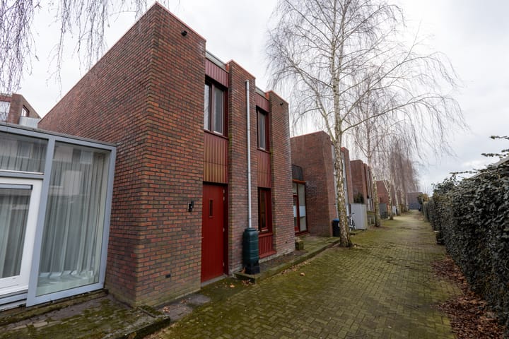 Foto 34 van Boterbloem 8