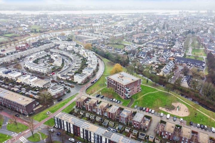 Foto 40 van Boterbloem 8