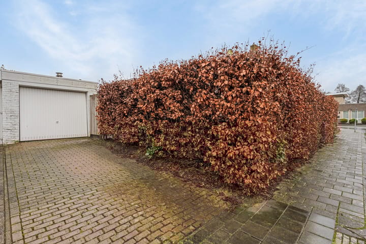 Foto 2 van M.L. Kingstraat 23