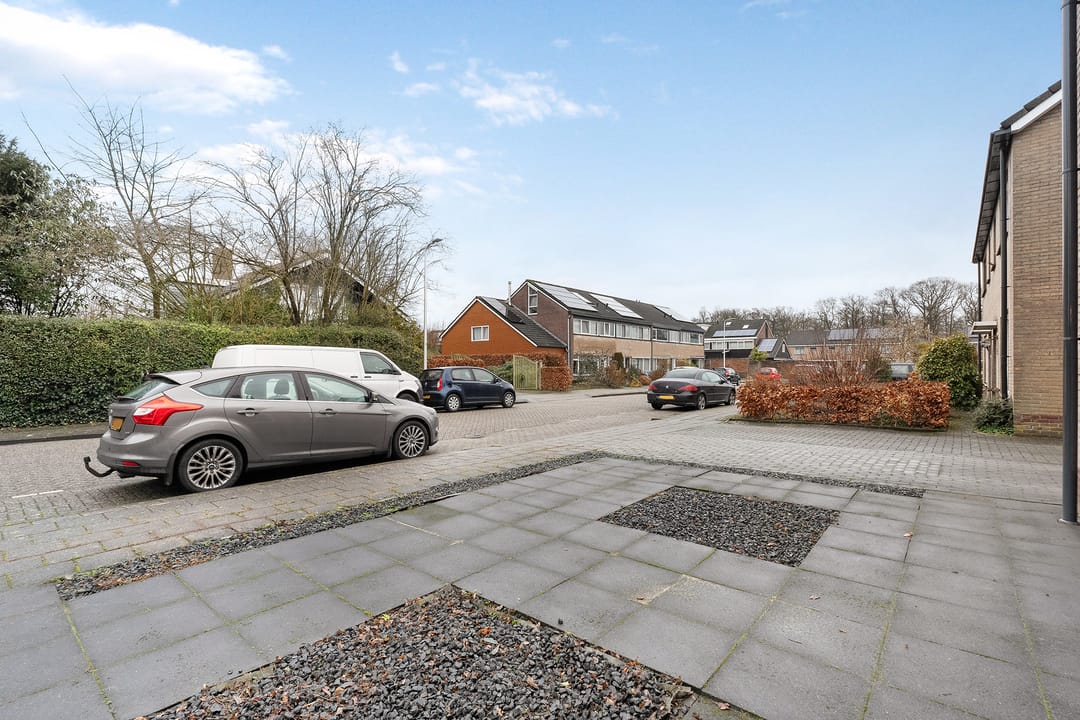 Photo 7 of De Prunus 7