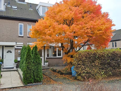 undefined main image