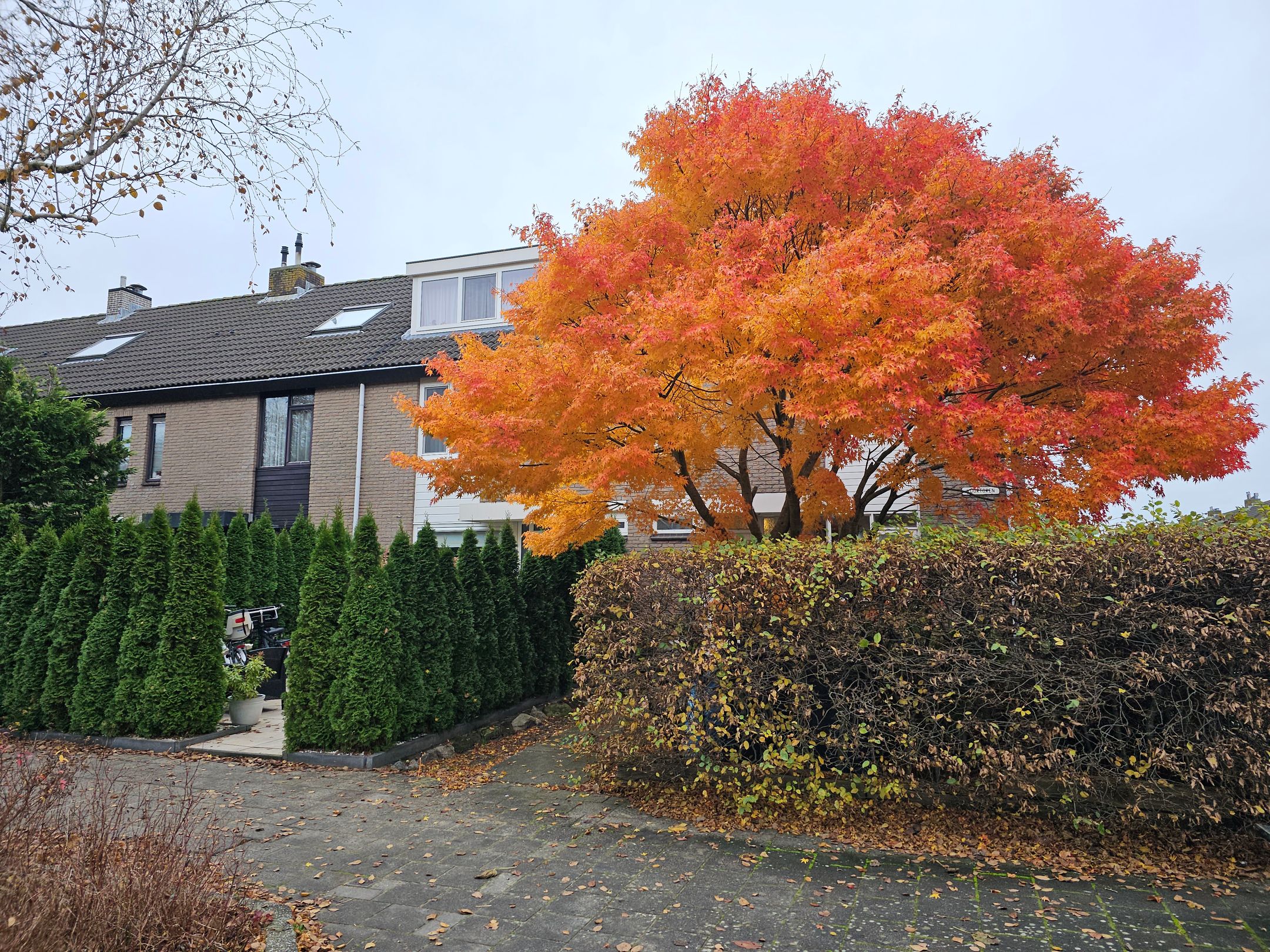 Photo 45 of Vuurtoren 2