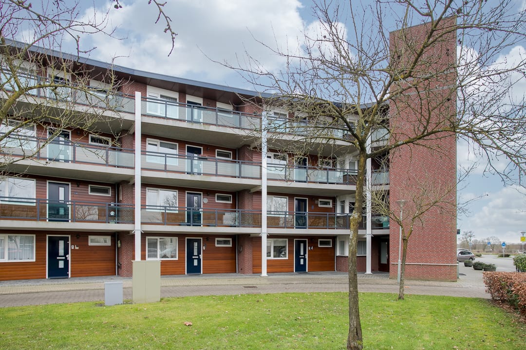 Foto 1 van Medaillon 4