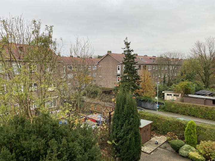 Foto 9 van Lepelaarsingel 78-C