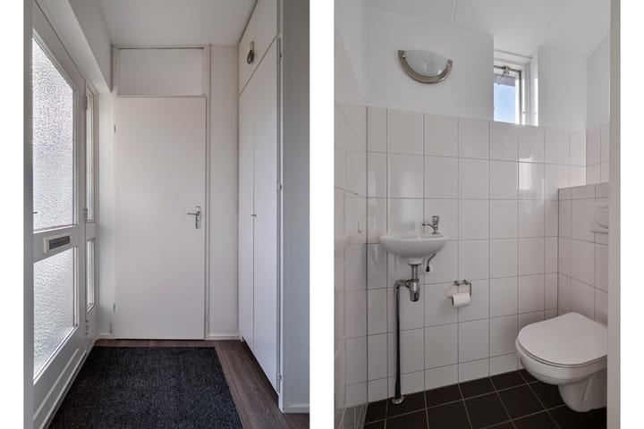 Foto 9 van Wollegras 19