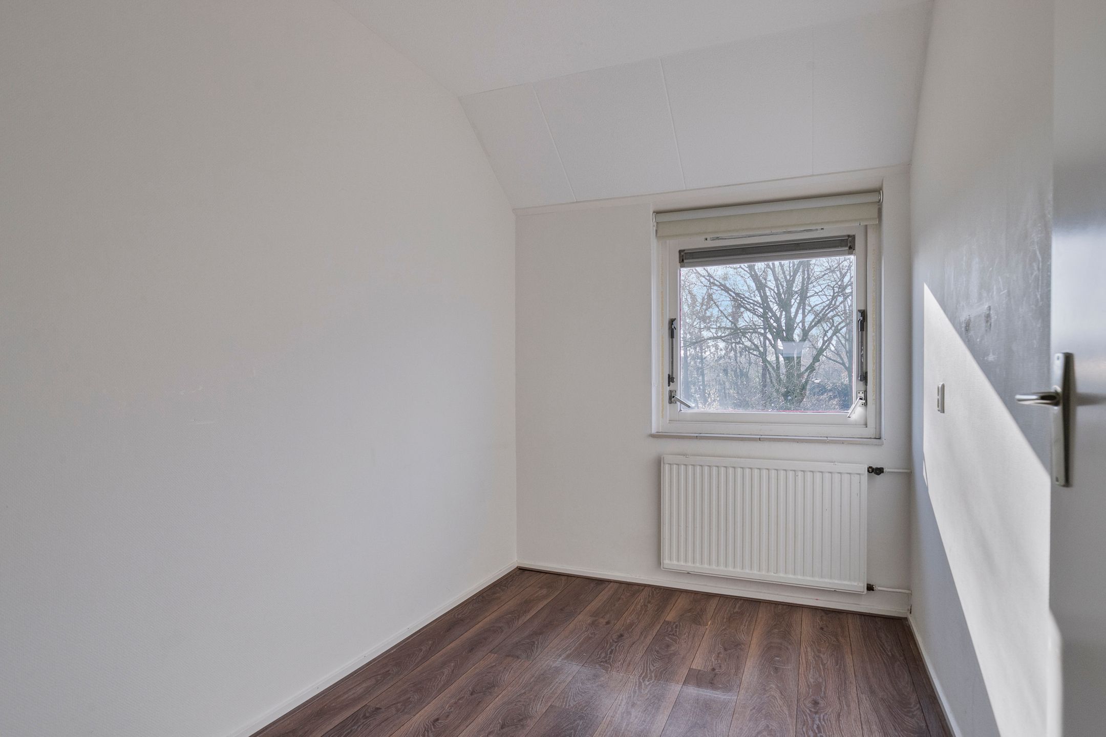 Foto 12 van Wollegras 19