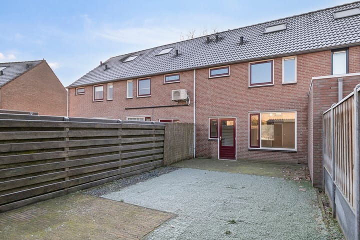 Foto 20 van Wollegras 19