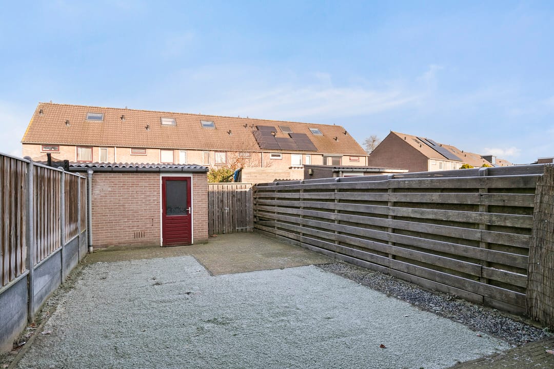 Foto 22 van Wollegras 19