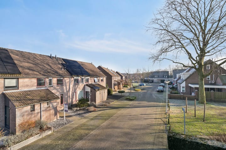 Foto 27 van Wollegras 19