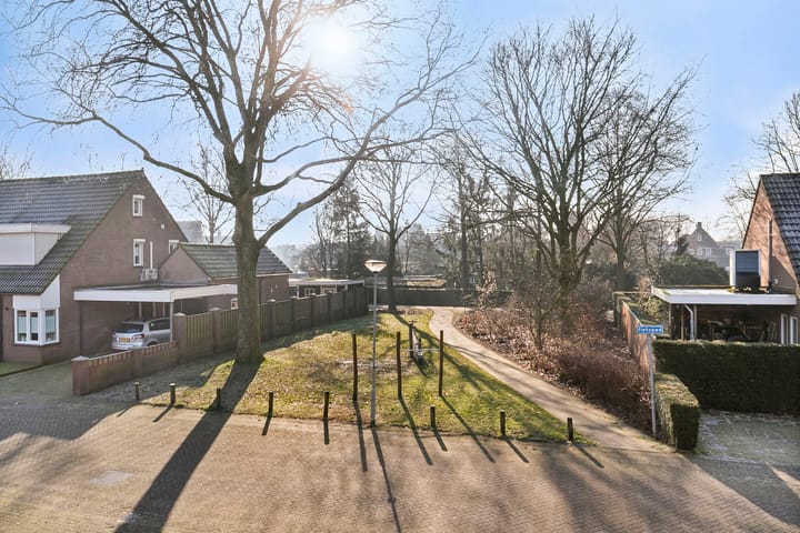 Foto 28 van Wollegras 19