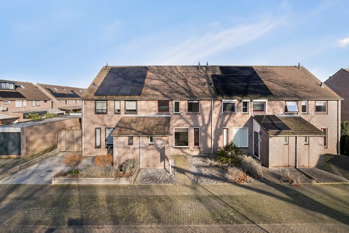 Foto 24 van Wollegras 19