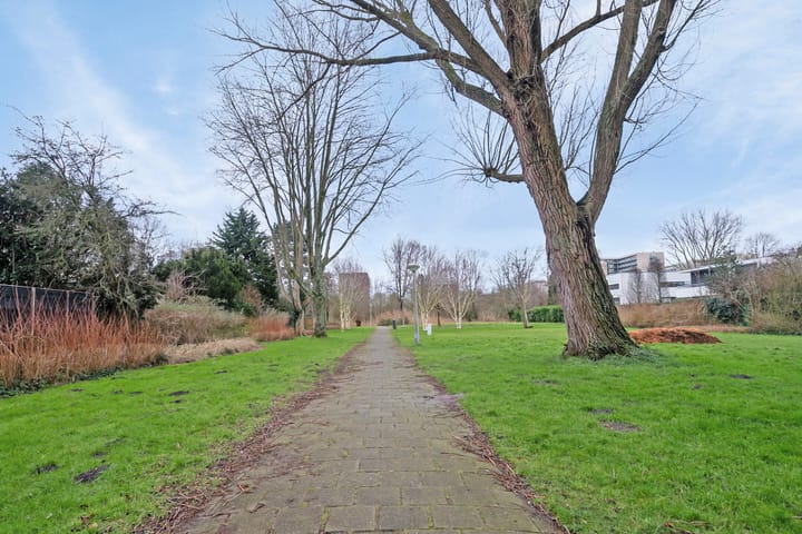 Foto 22 van Van Boshuizenstraat 501