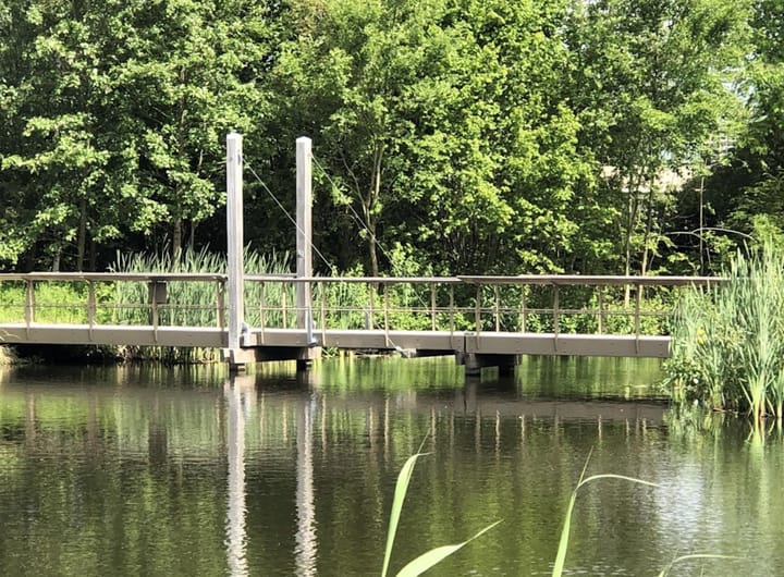 Foto 23 van Van Boshuizenstraat 501