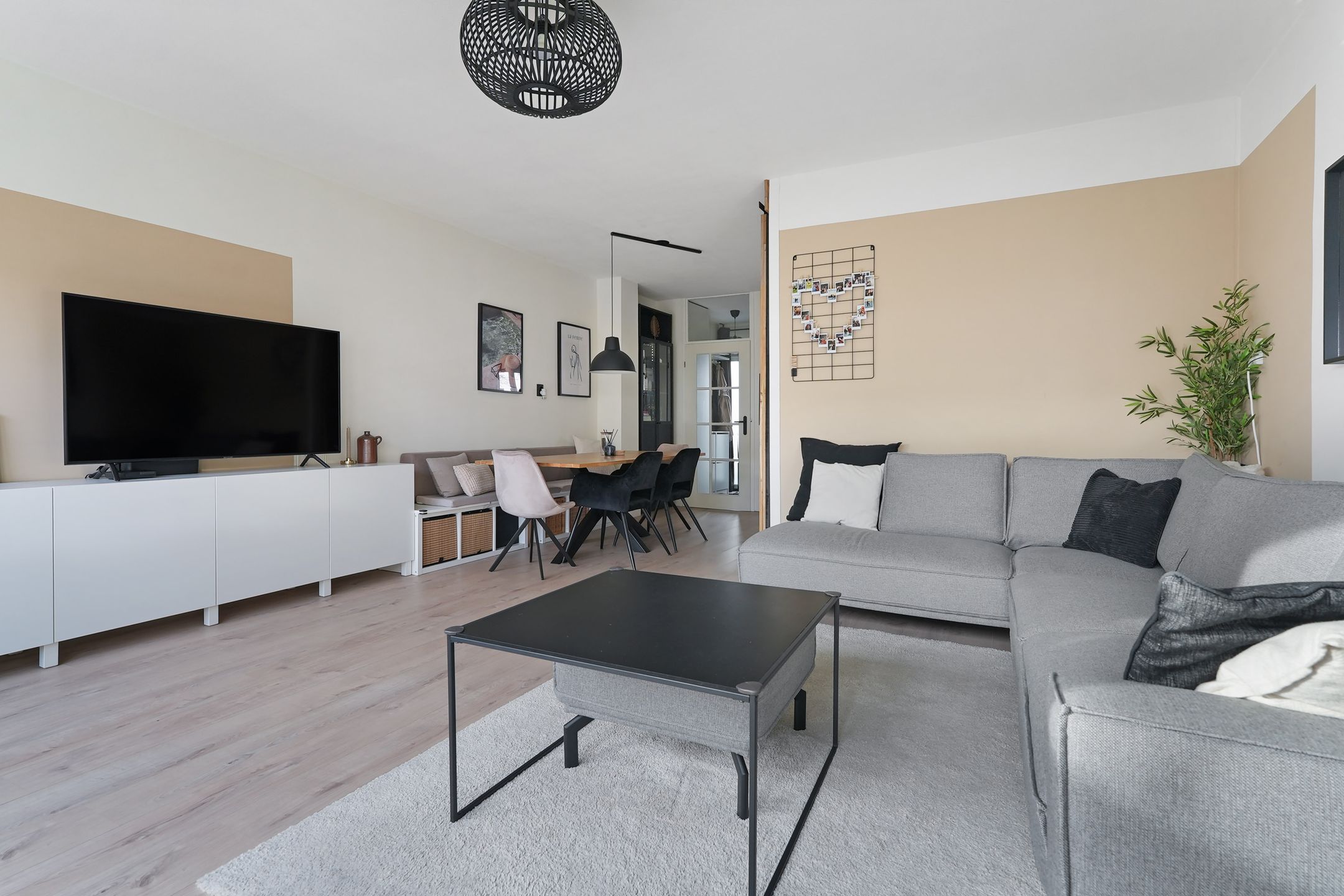 Foto 12 van Kanariesprenk 131