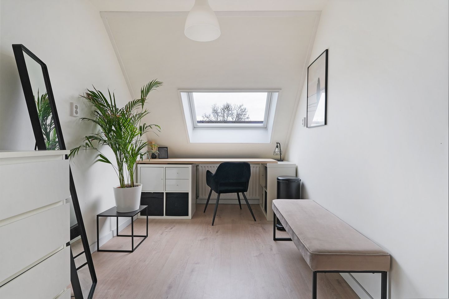 Foto 19 van Kanariesprenk 131