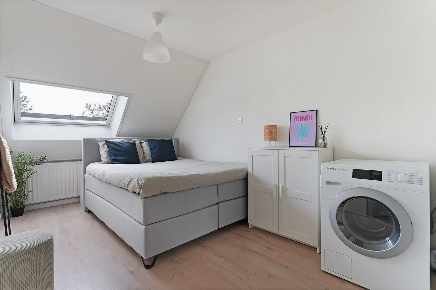 Foto 20 van Kanariesprenk 131