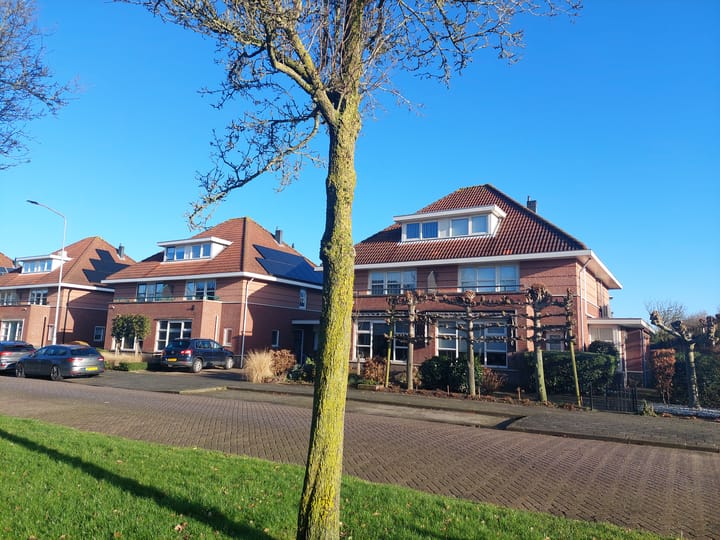 Foto 46 van Duifkruid 4