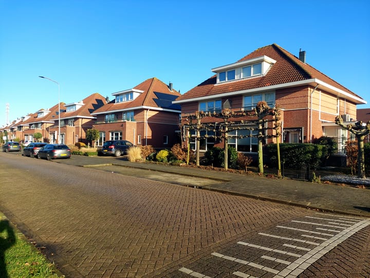 Foto 47 van Duifkruid 4