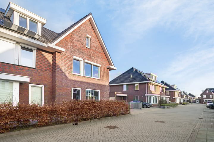 Photo 51 of Purperreiger 42