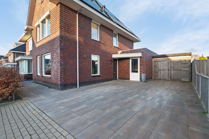 Photo 7 of Purperreiger 42