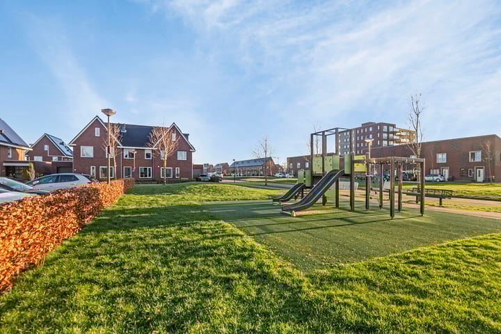 Photo 54 of Purperreiger 42