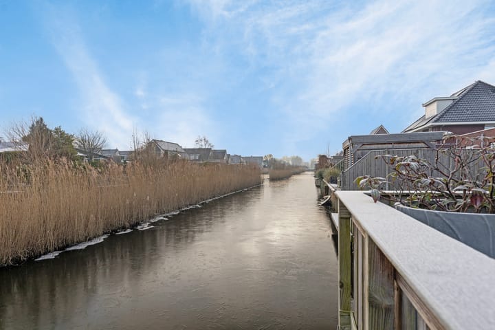 Photo 40 of Purperreiger 42